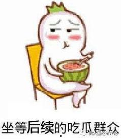 娱乐吃瓜酱家庭纠纷,揭秘明星家庭背后的恩怨情仇