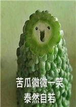 苦瓜表情包,苦中带笑，传递生活智慧